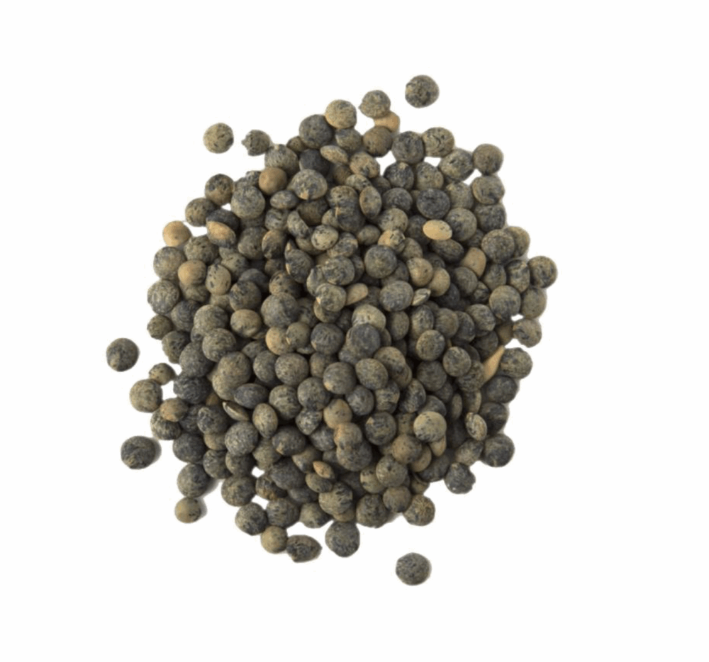 Lentilles vertes