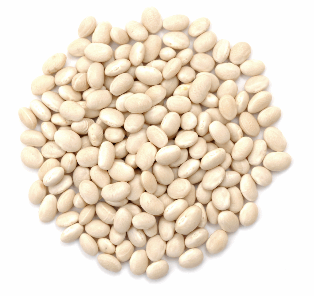 Haricots blancs