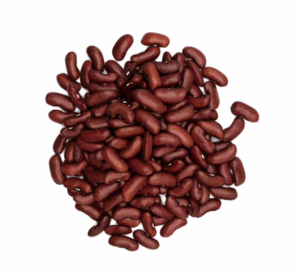 Haricots rouges